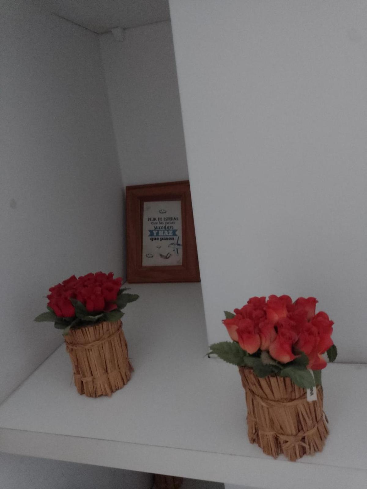 דירות בואנוס איירס Relax En Palermo Con Gran Balcon Y Wifi 300Mb מראה חיצוני תמונה